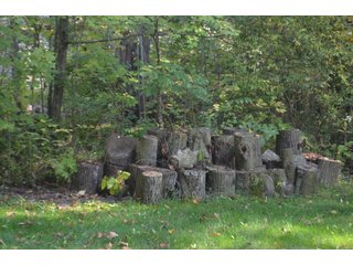 Property photo 40 - REAL ESTATE AUCTION IN ALLEN CO., INDIANA